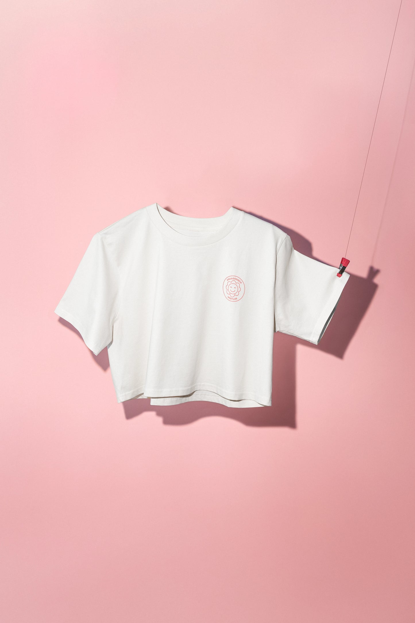 Pädagogisch wertlos Boxy Tee